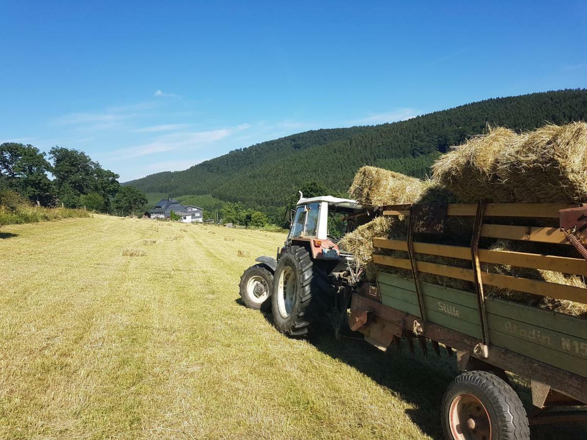 Pension Bergfrieden Schmallenberg Bagian luar foto