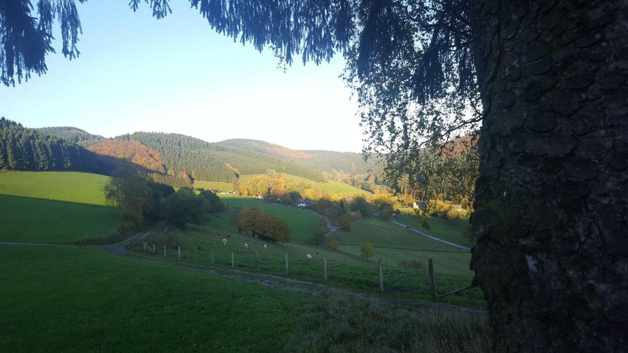 Pension Bergfrieden Schmallenberg Bagian luar foto