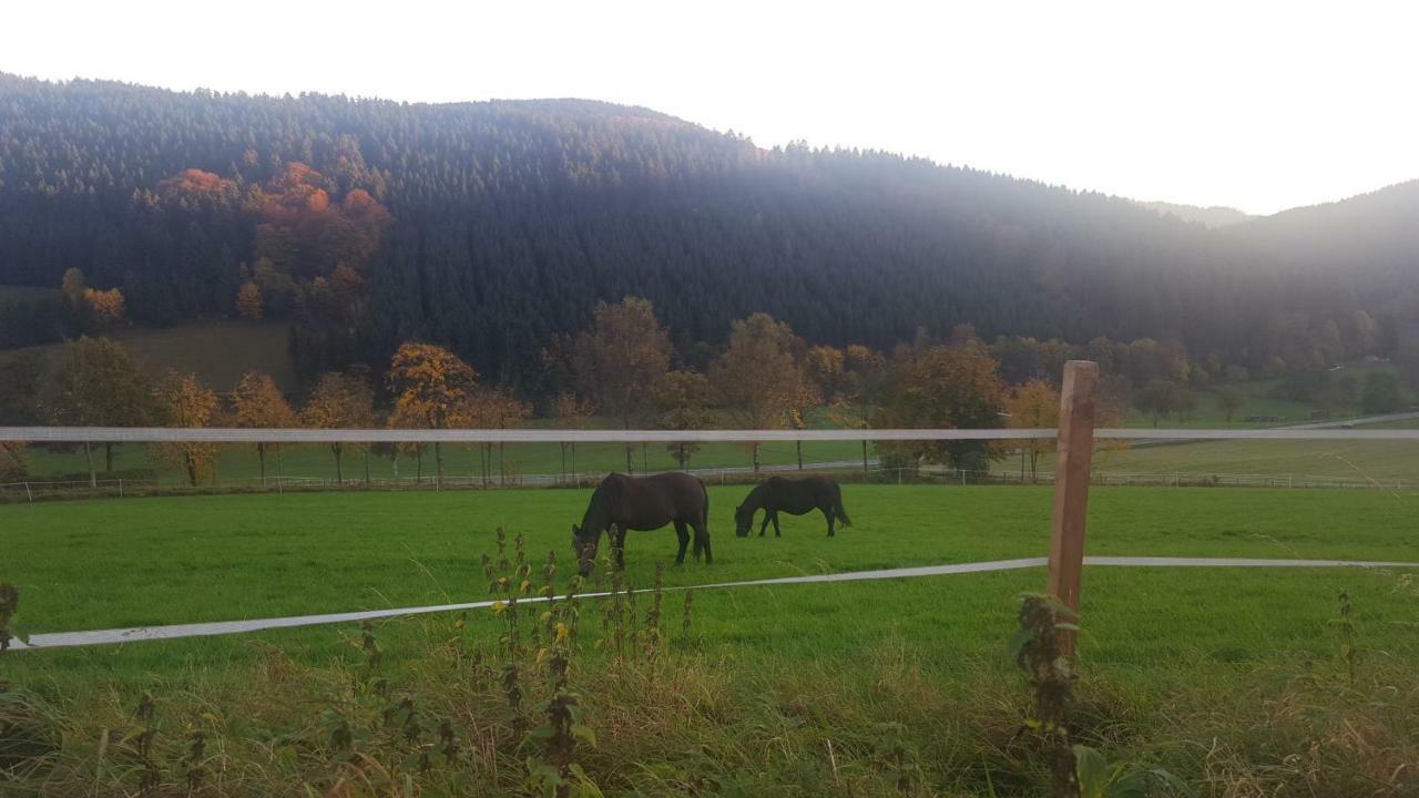 Pension Bergfrieden Schmallenberg Bagian luar foto