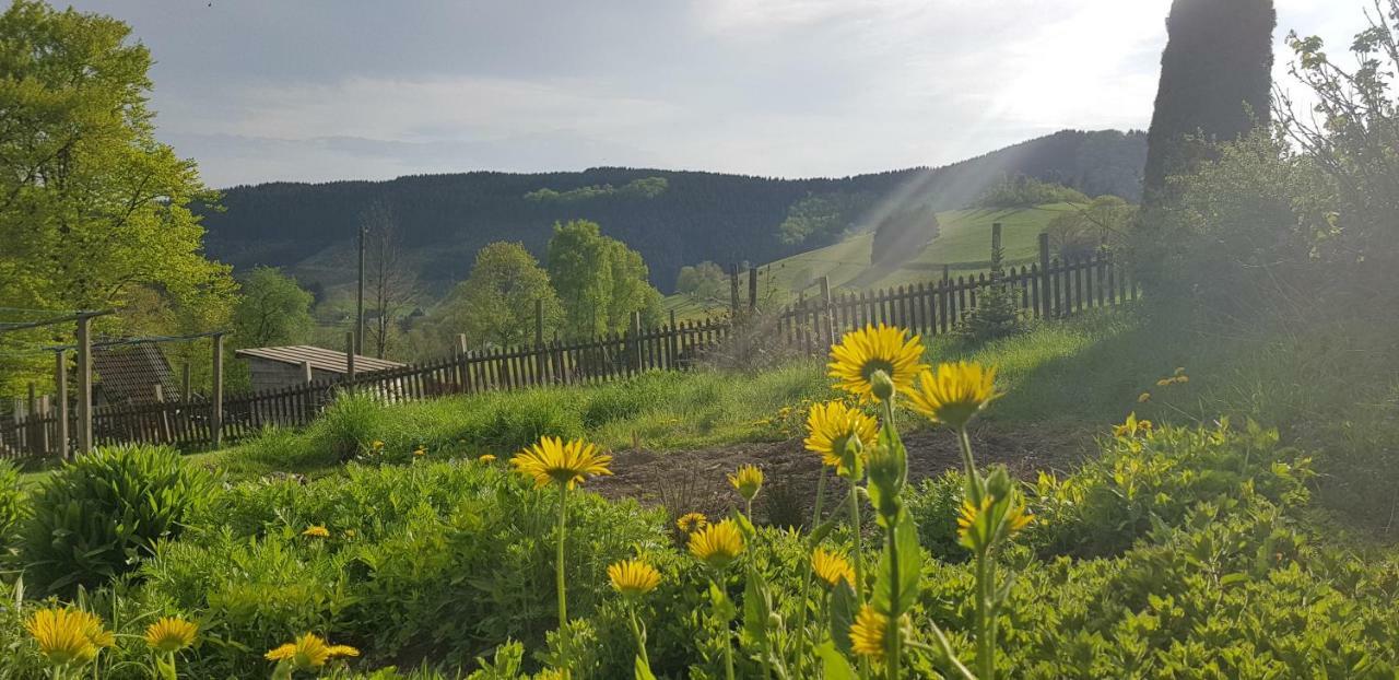 Pension Bergfrieden Schmallenberg Bagian luar foto