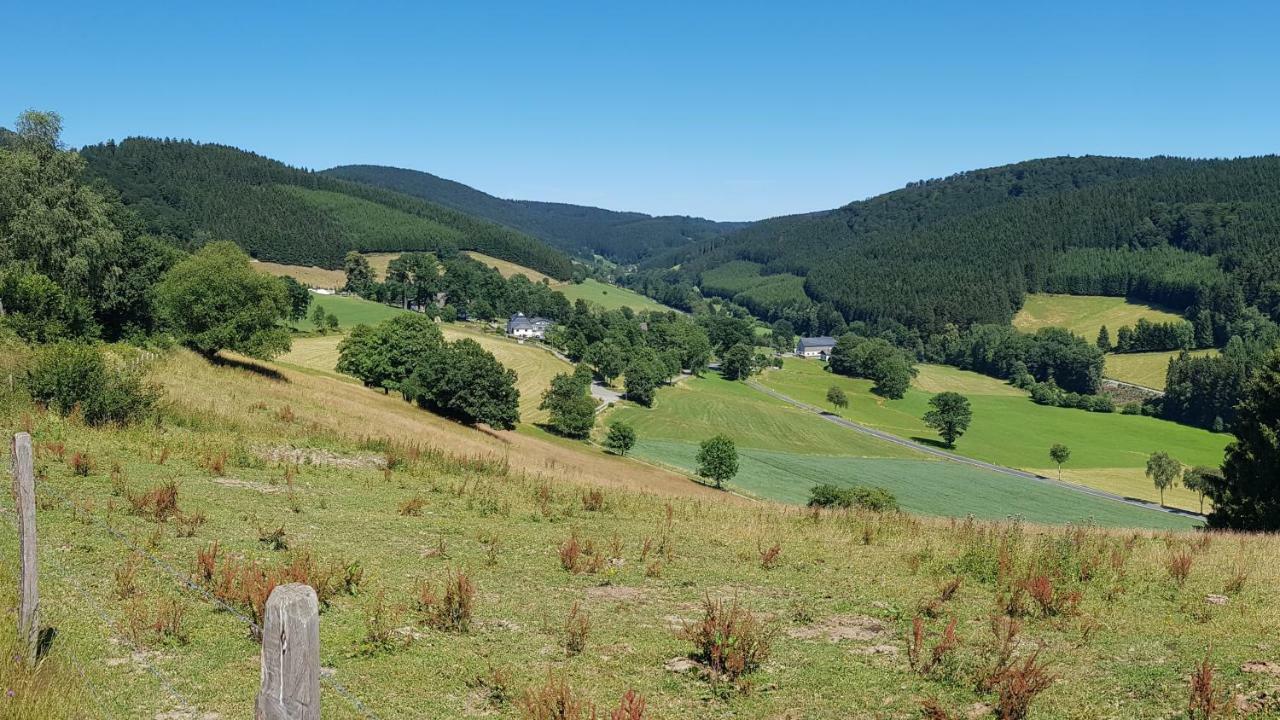 Pension Bergfrieden Schmallenberg Bagian luar foto