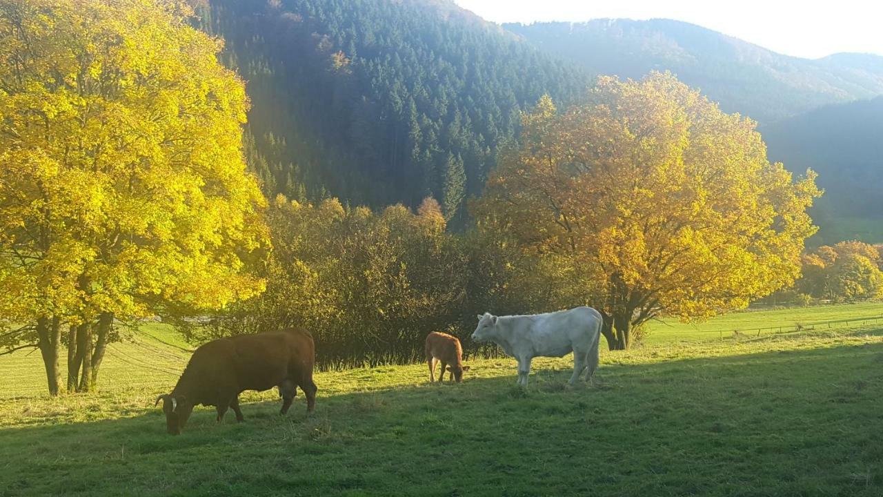 Pension Bergfrieden Schmallenberg Bagian luar foto